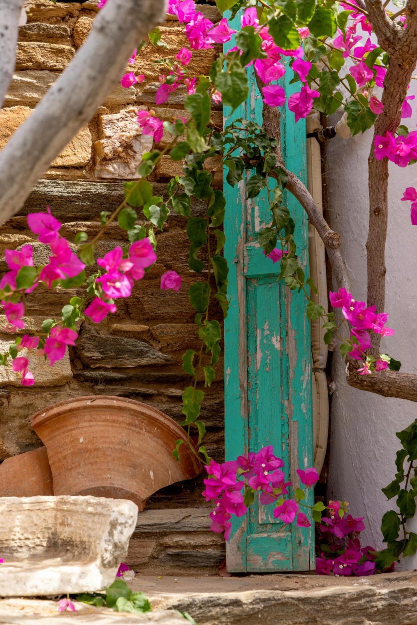 Elayio Houses Καρδιανή Εξωτερικό φωτογραφία